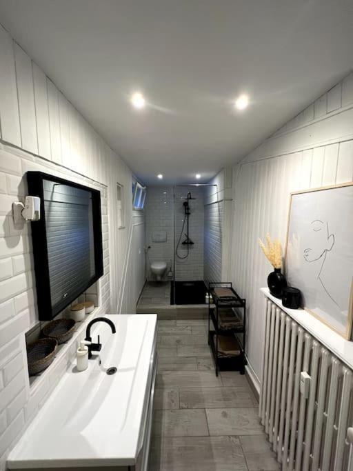 Superbe Duplex En Hyper Centre Leilighet Saint-Etienne  Eksteriør bilde
