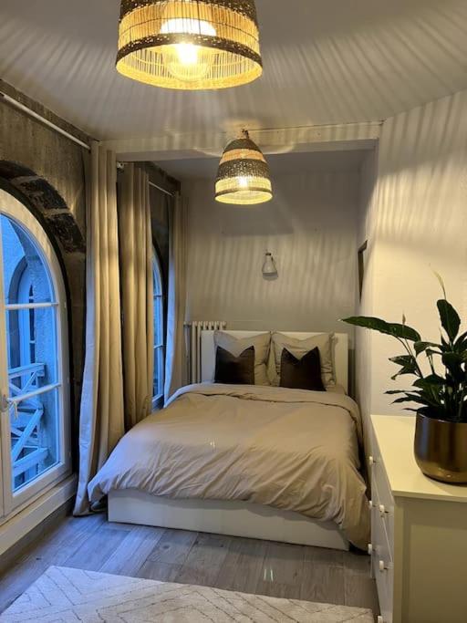 Superbe Duplex En Hyper Centre Leilighet Saint-Etienne  Eksteriør bilde